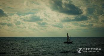 大海 在线观看,在线观看大海的壮阔画卷